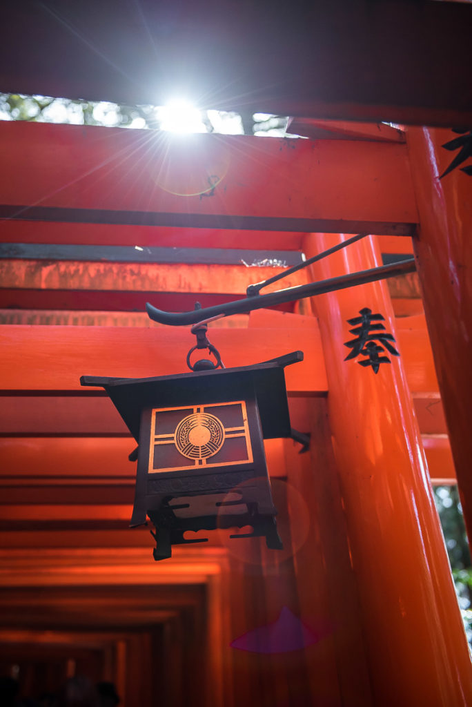 Detail of a Japanese lantern amongst red torii gates
