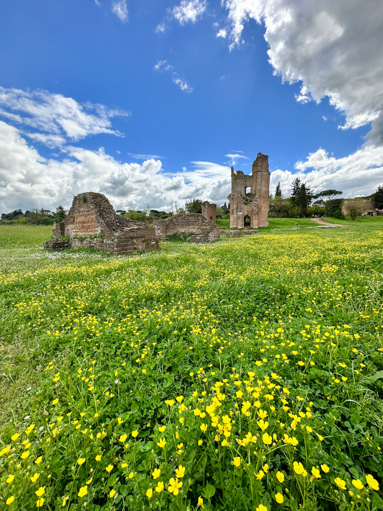 roman ruins in a field of yellow flowers