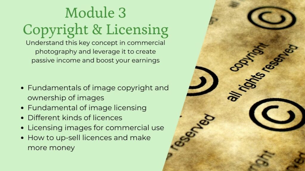 Module 3 copyright